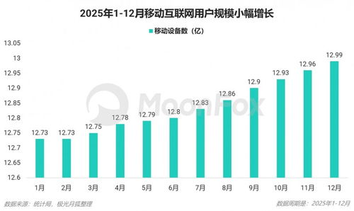2025年第四季度移動互聯(lián)網行業(yè)數(shù)據(jù)研究報告 數(shù)據(jù)服務領域的深度洞察